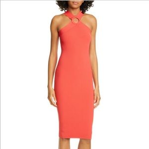 NWT Ted Baker knitted rib bodycon dress